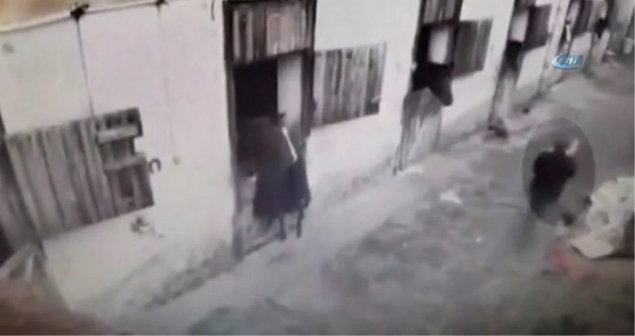 Ankara\'da Hırsızın Kangalı Kucaklayarak Çaldığı Anlar Kamerada