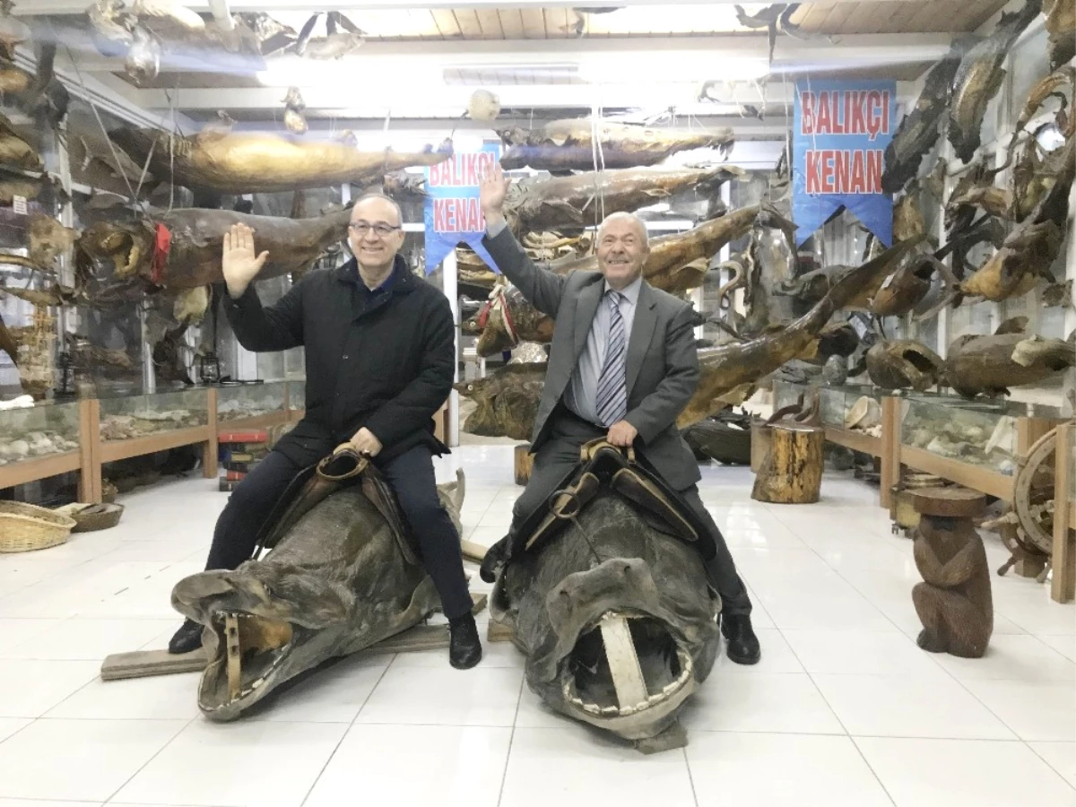 Spor Yorumcusu Haldun Domaç\'tan Türkiye Deniz Canlıları Balıkçı Kenan Müzesi\'ne Övgü