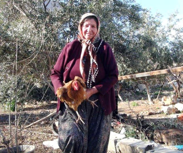 Üzerinde '1' Yazan Yumurtayı Bin Liradan Satışa Çıkardı