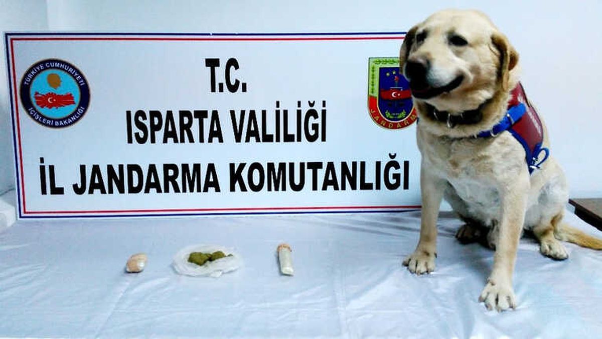 Isparta\'da Yolcu Otobüsünde Uyuşturucu Ele Geçirildi