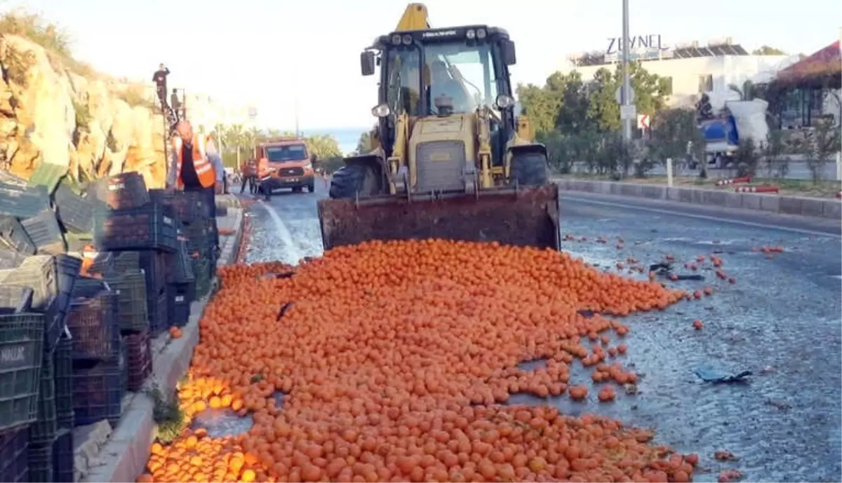 Tırdan Dökülen Narenciye Karayolunu Trafiğe Kapattı