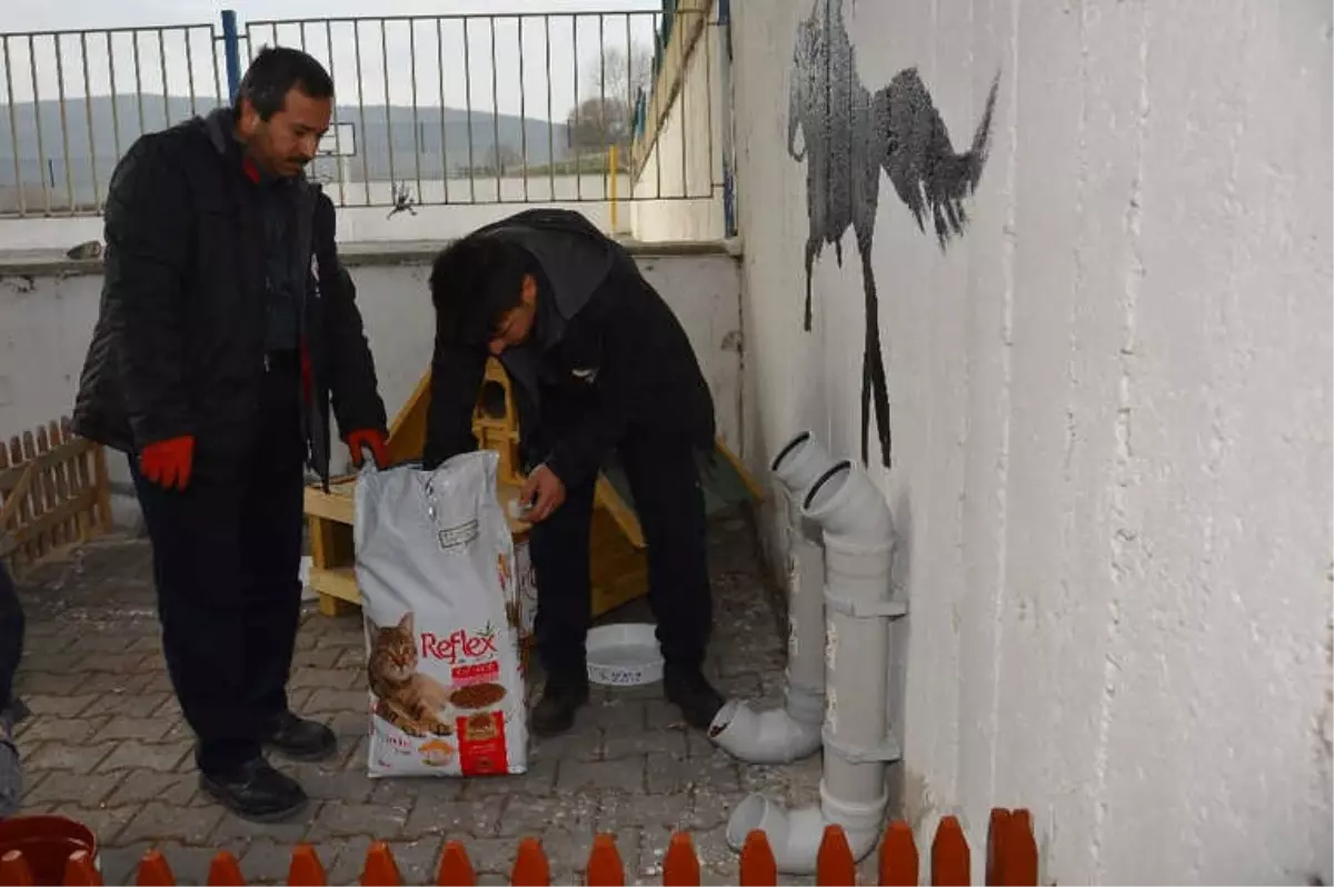 Gaziosmanpaşa Anadolu Lisesi\'ne Kedi Evi