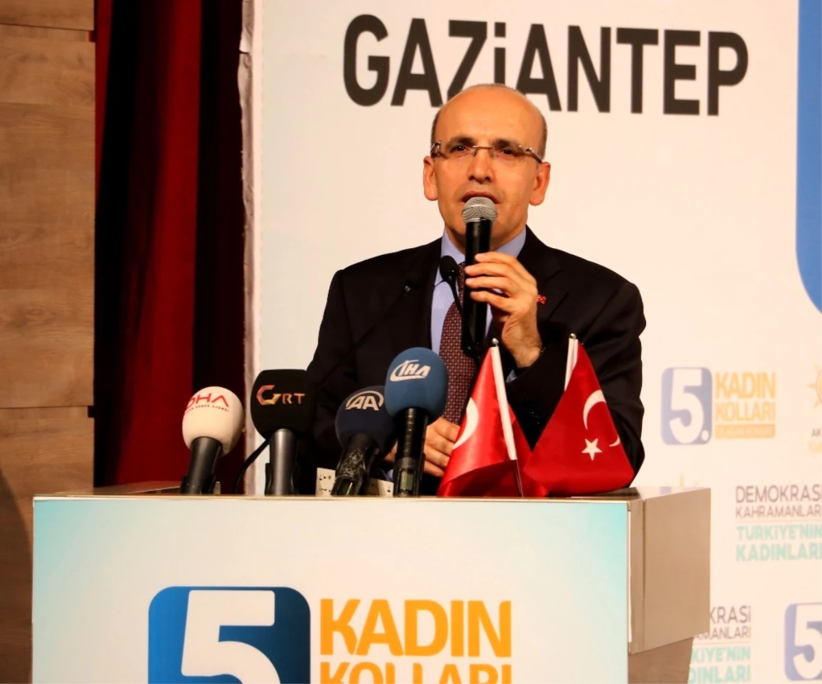 Başbakan Yardımcısı Mehmet Şimşek Açıklaması