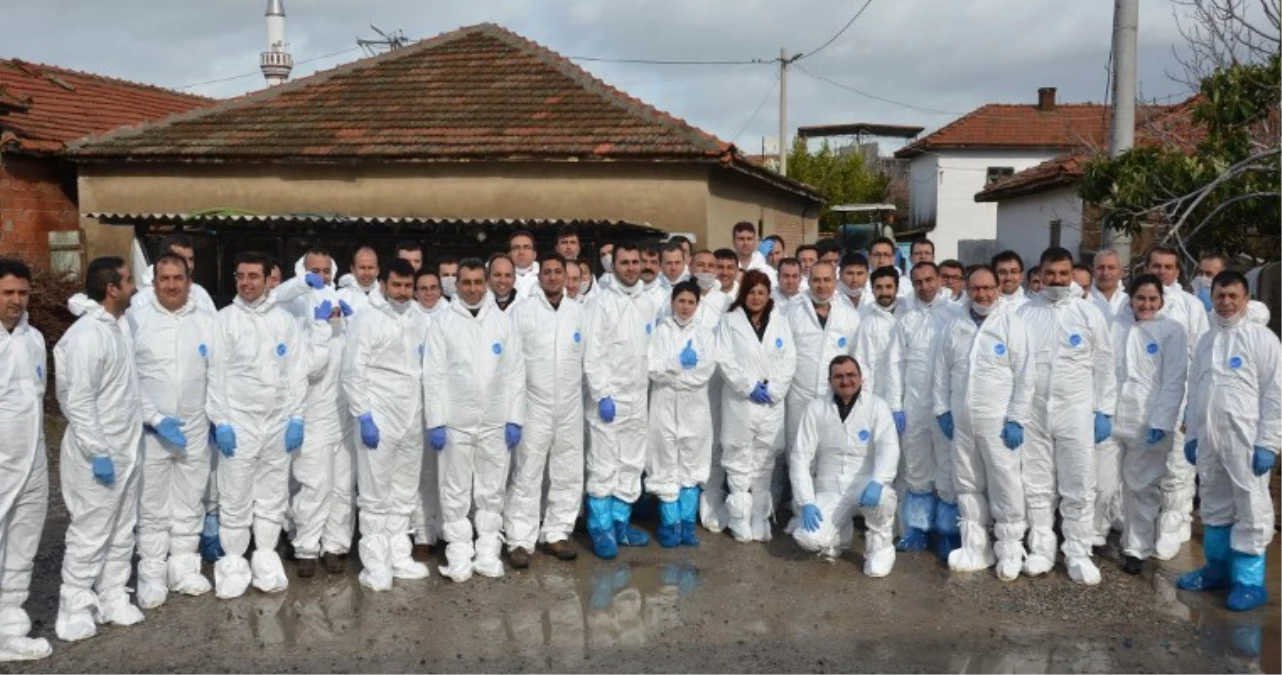 İzmir\'de Şap Hastalığı Eğitimi ve Tatbikatı