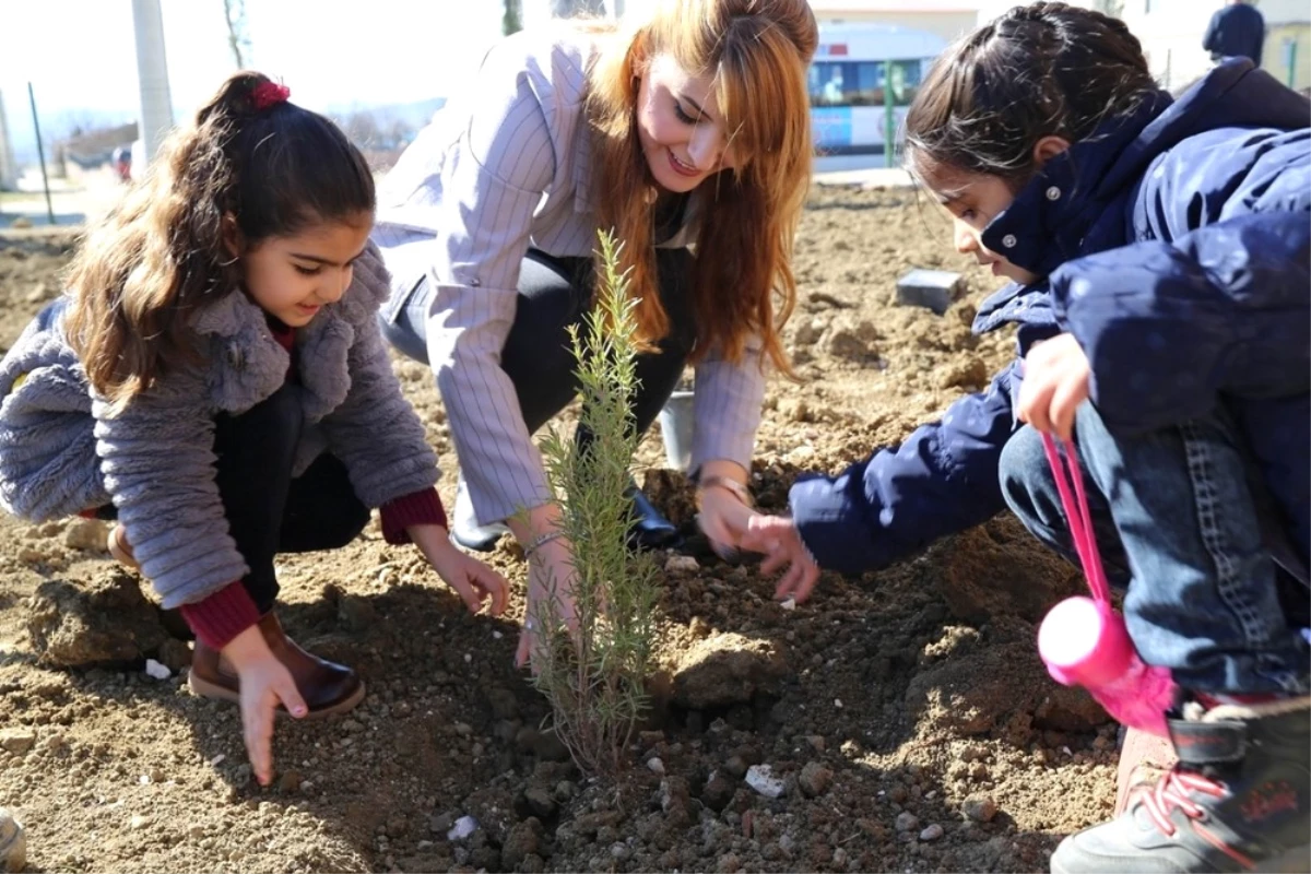 Kayyum Park Yaptı, Çocuklar Ağaç Dikti