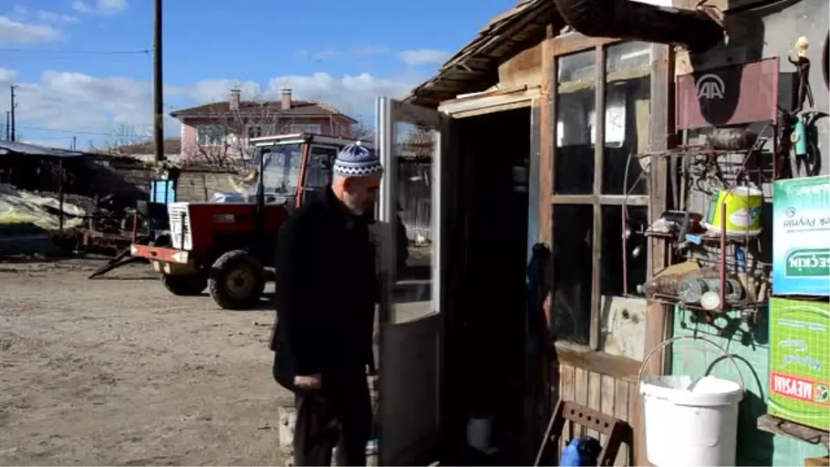 Televizyondan Öğrendiği Ağaç Oymacılığı Hobisi Oldu