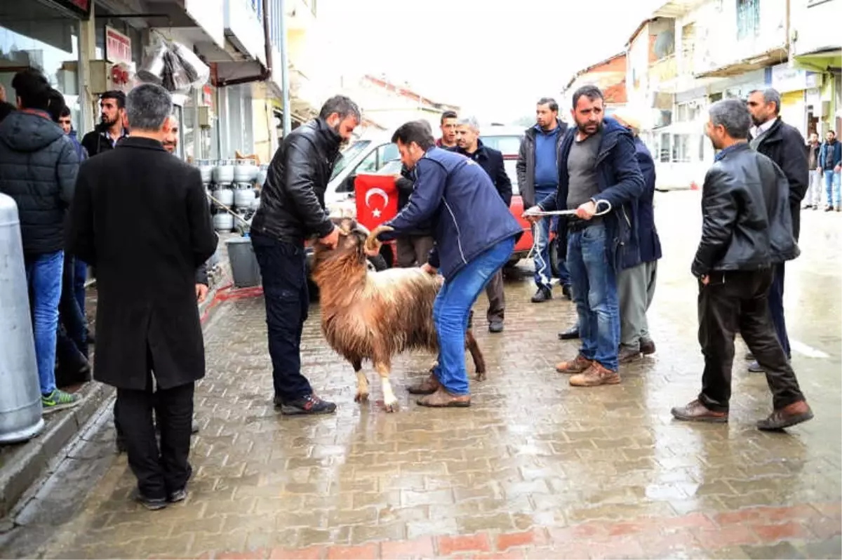 Mehmetçik İçin Kurban Kesildi