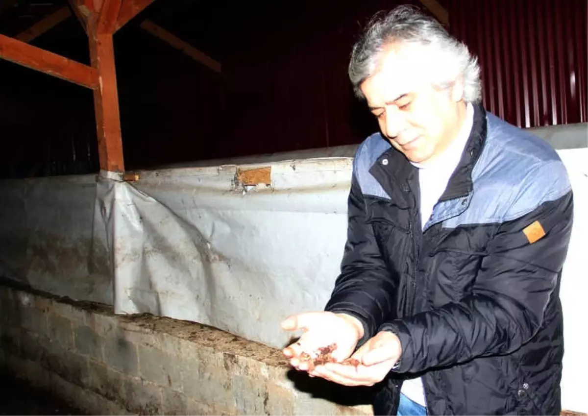 Prof. Dr. Mustafa Türkmen: "Hem Verimi Artırıyor Hem de Hastalıklara Karşı Koruyor"