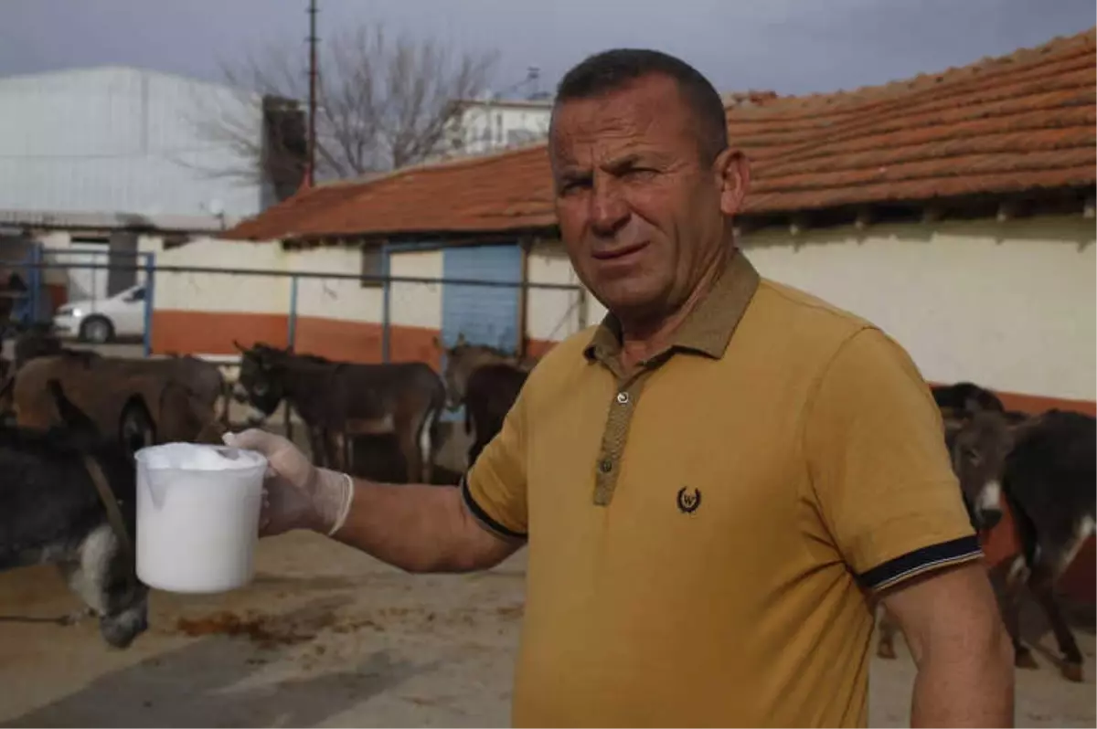 Turizm Sektörünü Bıraktı Eşek Sütü Üretimine Başladı