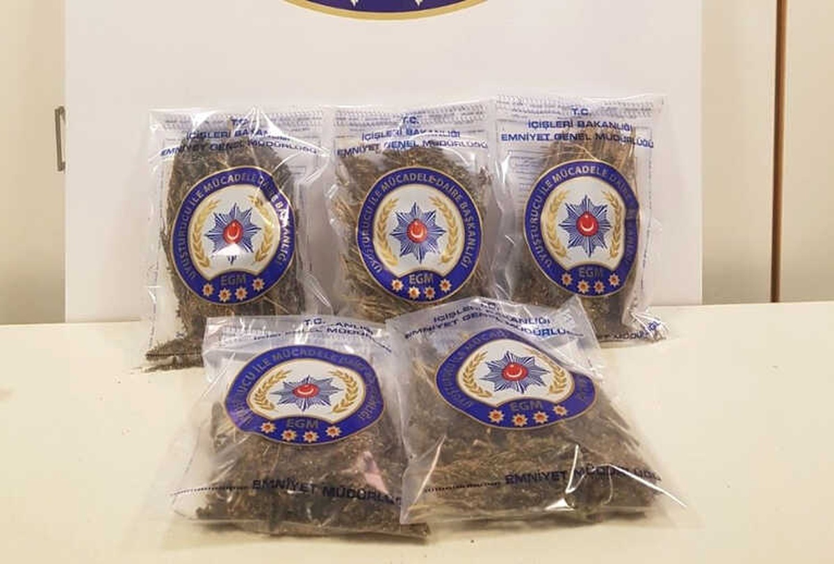Elazığ\'da Esrarla Yakalanan 3 Şüpheli Tutuklandı
