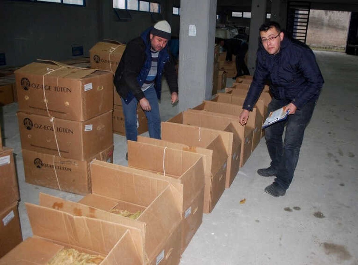 Gördes\'te Tütün Piyasası Açıldı