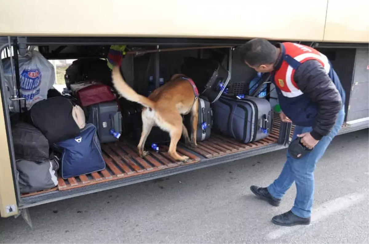 Jandarmadan Köpekli Yol Denetimi