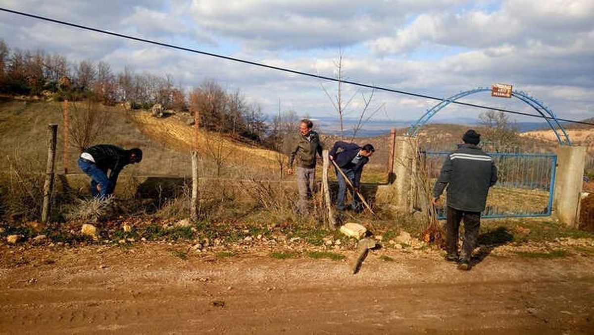 Köyde İmece Usulü Fidan Dikimi