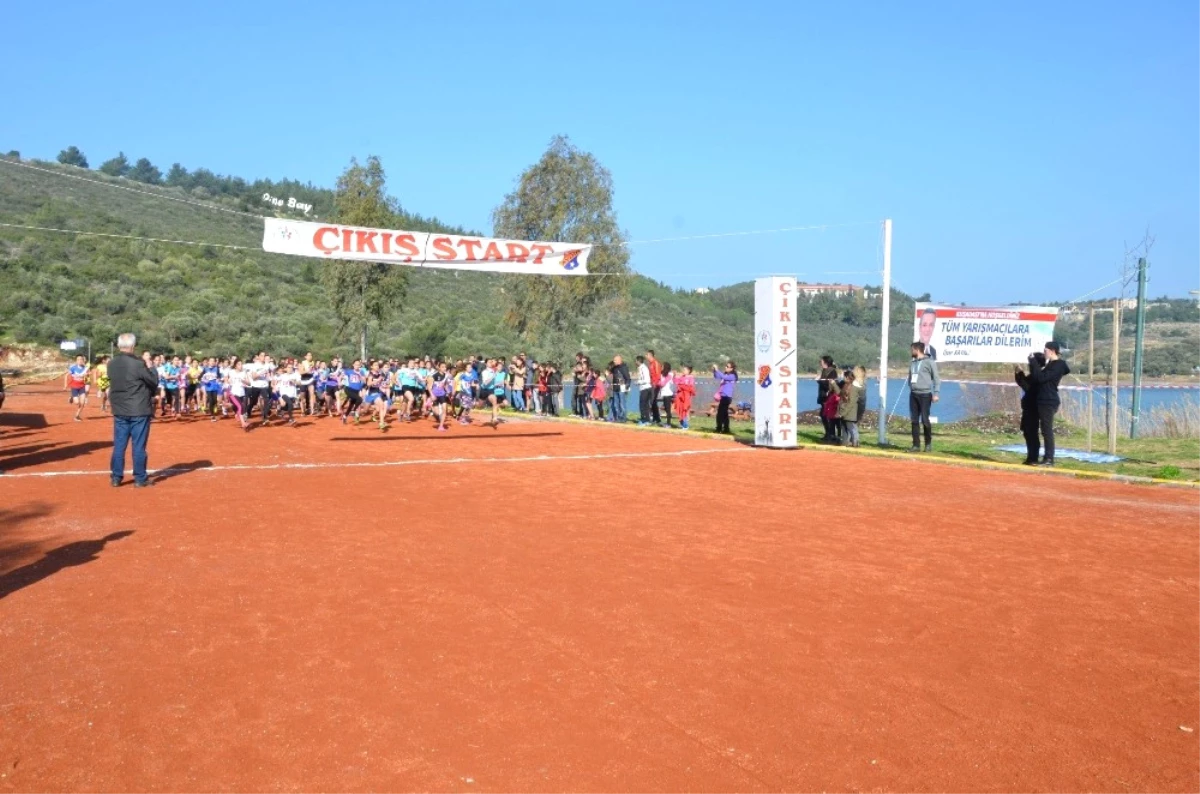 Okullararası Kros Grup Yarışları Kuşadası\'nda Yapıldı