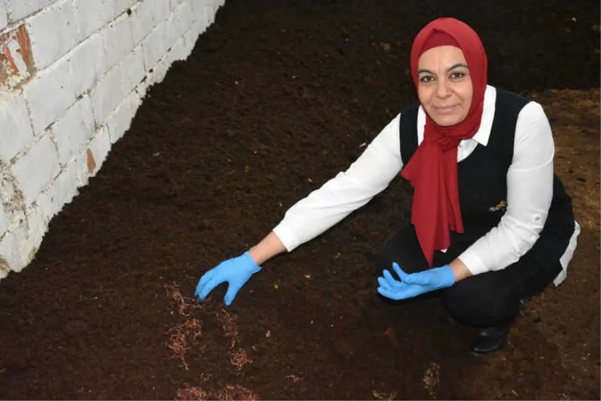 Cezaevinde Kafasına Koydu, Tahliye Olunca Tesisini Kurdu