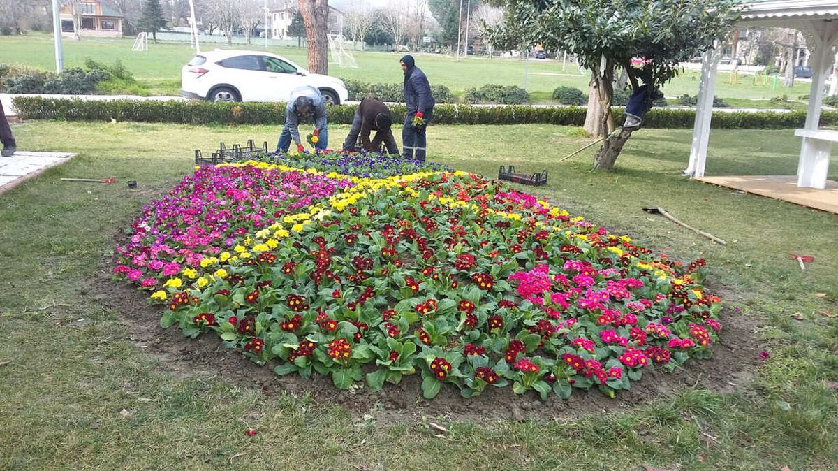 Sapanca\'da Hummalı Çalışma