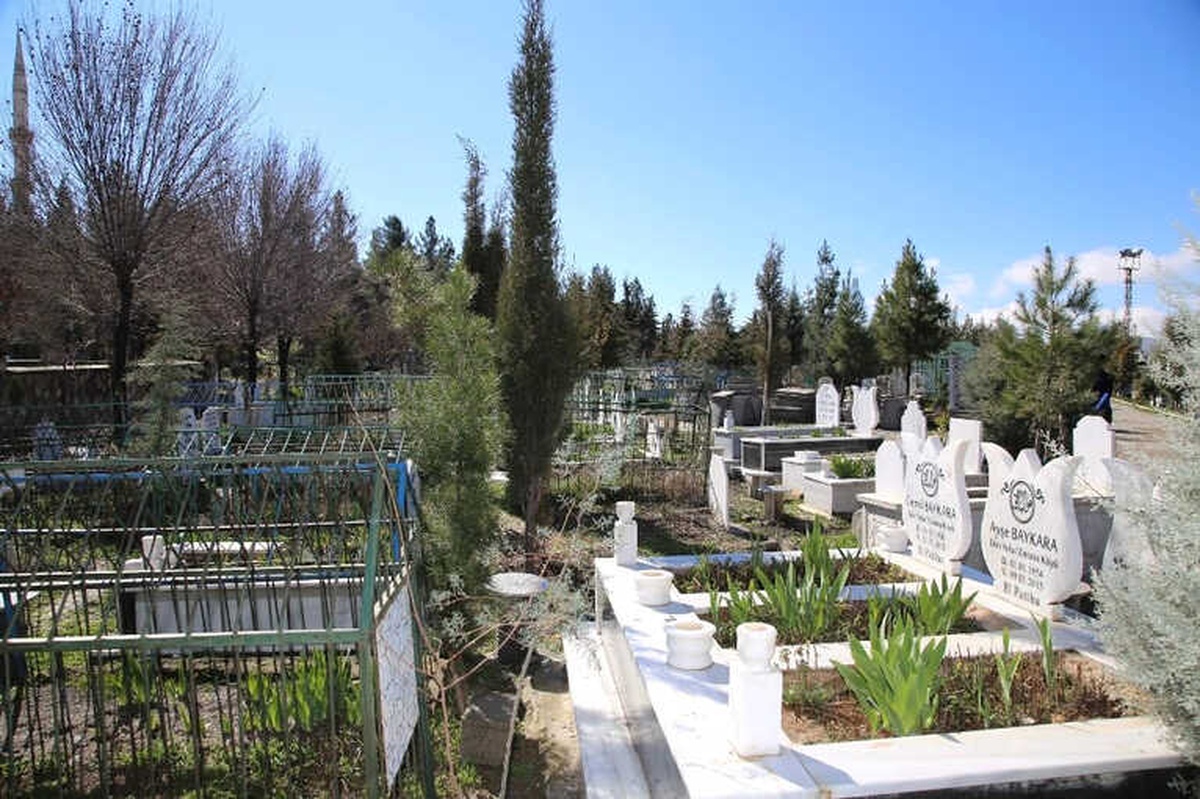 Siirt\'te Mezar Sahiplerine Fidan Dağıtıldı