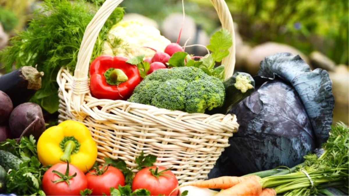 Tarım ve Gıdada İhracata Üç Engel