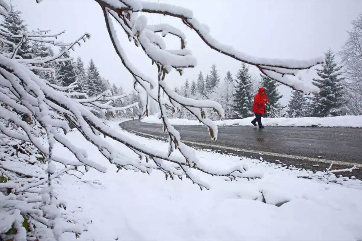 Yaylalardaki Kar Yağışı Fotoğrafçıların İlgi Odağı