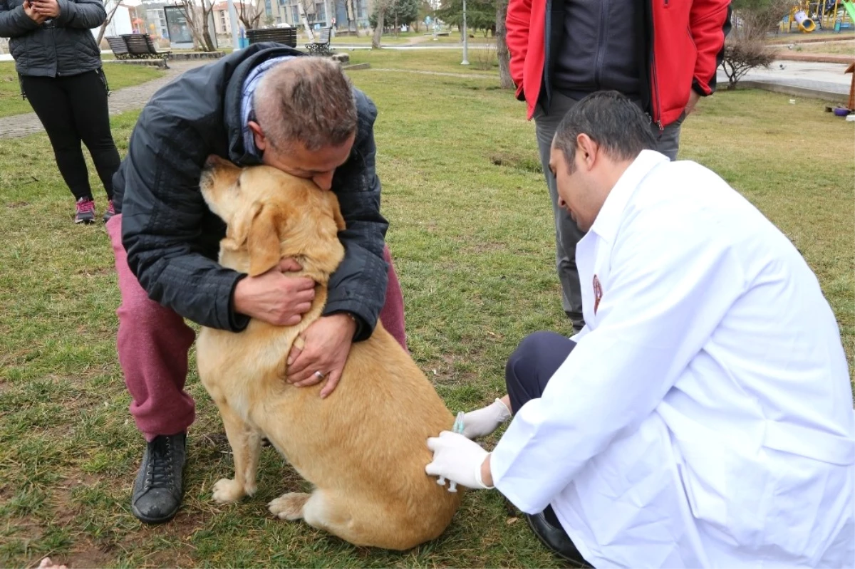 Sokak Hayvanlarının Rutin Aşı Takvimi Uygulamaya Devam Ediyor