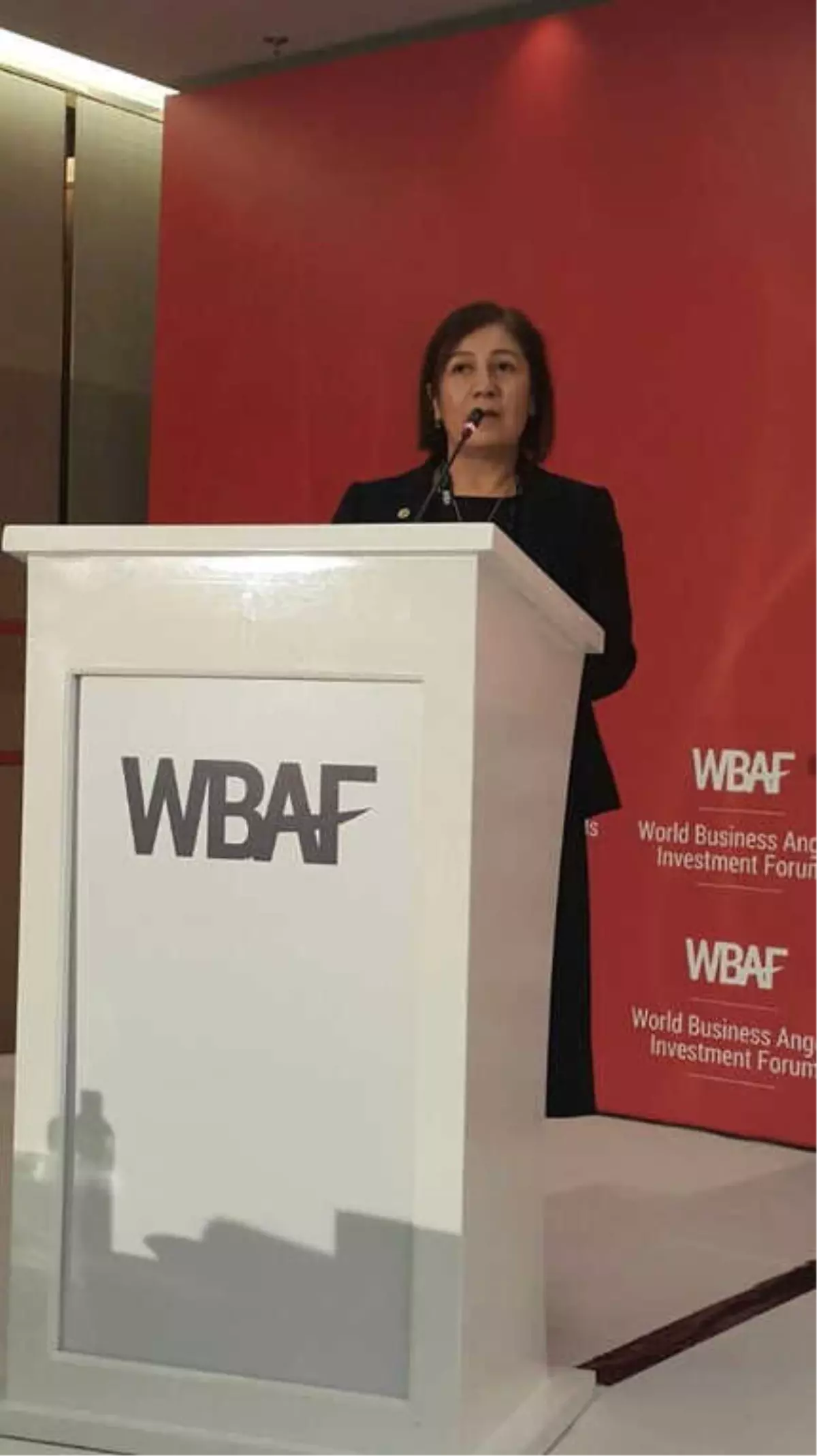 AK Parti Çorum Milletvekili Lütfiye İlksen Ceritoğlu Kurt;