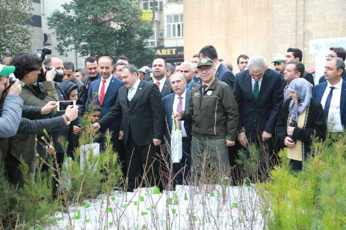 Bakanlar Şanlıurfa\'da Vatandaşlara Fidan Dağıttı