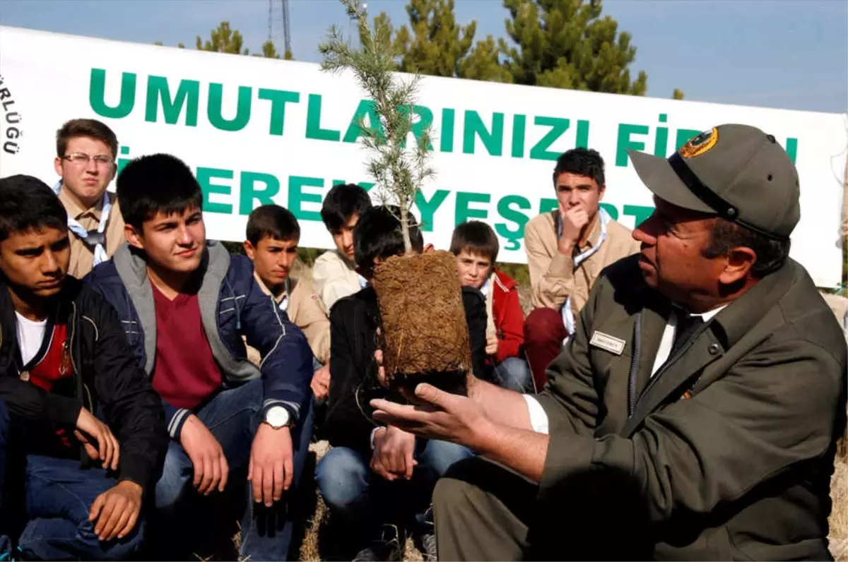 Beypazarı Orman İşletmesi 9 Bin Hektar Alanı Ağaçlandırdı