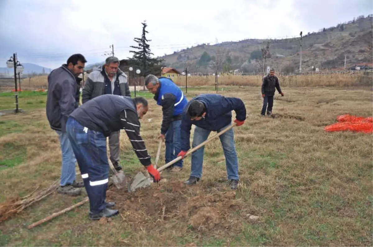 Doğa Parkı Ağaçlandırılıyor