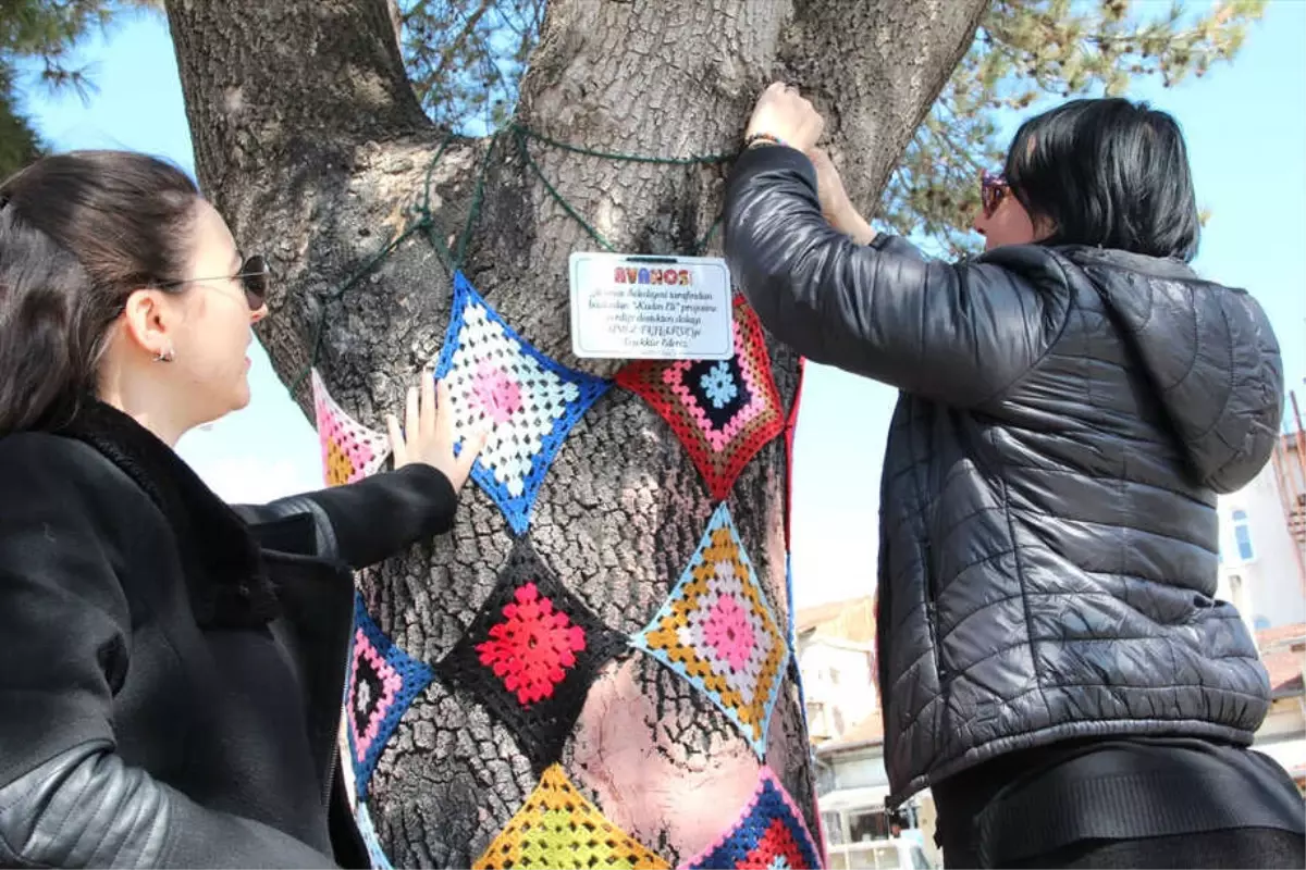 Avanoslu Kadınlar Bu Kez Ağaçlar İçin Ördü