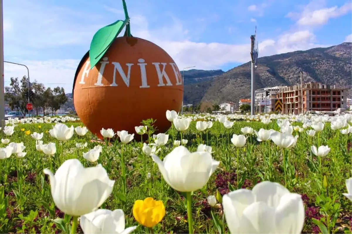 Finike Sokakları Çiçek Bahçesine Döndü