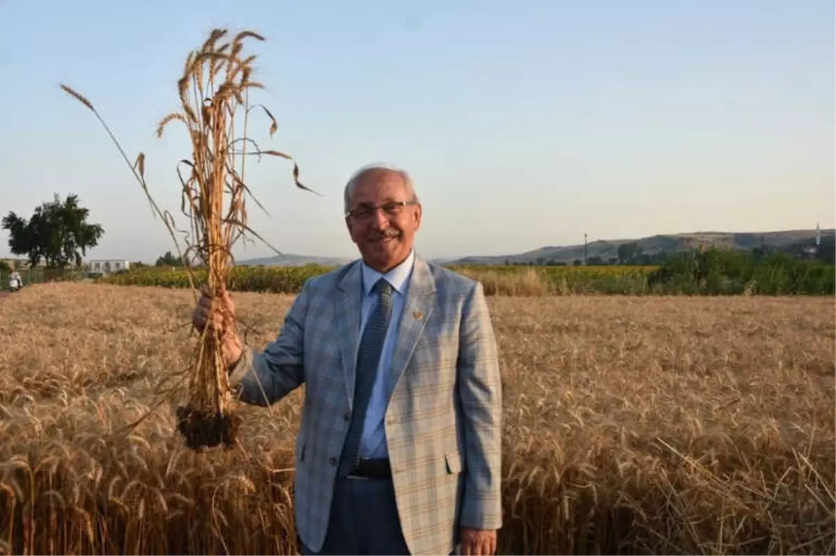 Tekirdağ, Tarım ve Hayvancılıkta Örnek Olmaya Devam Ediyor