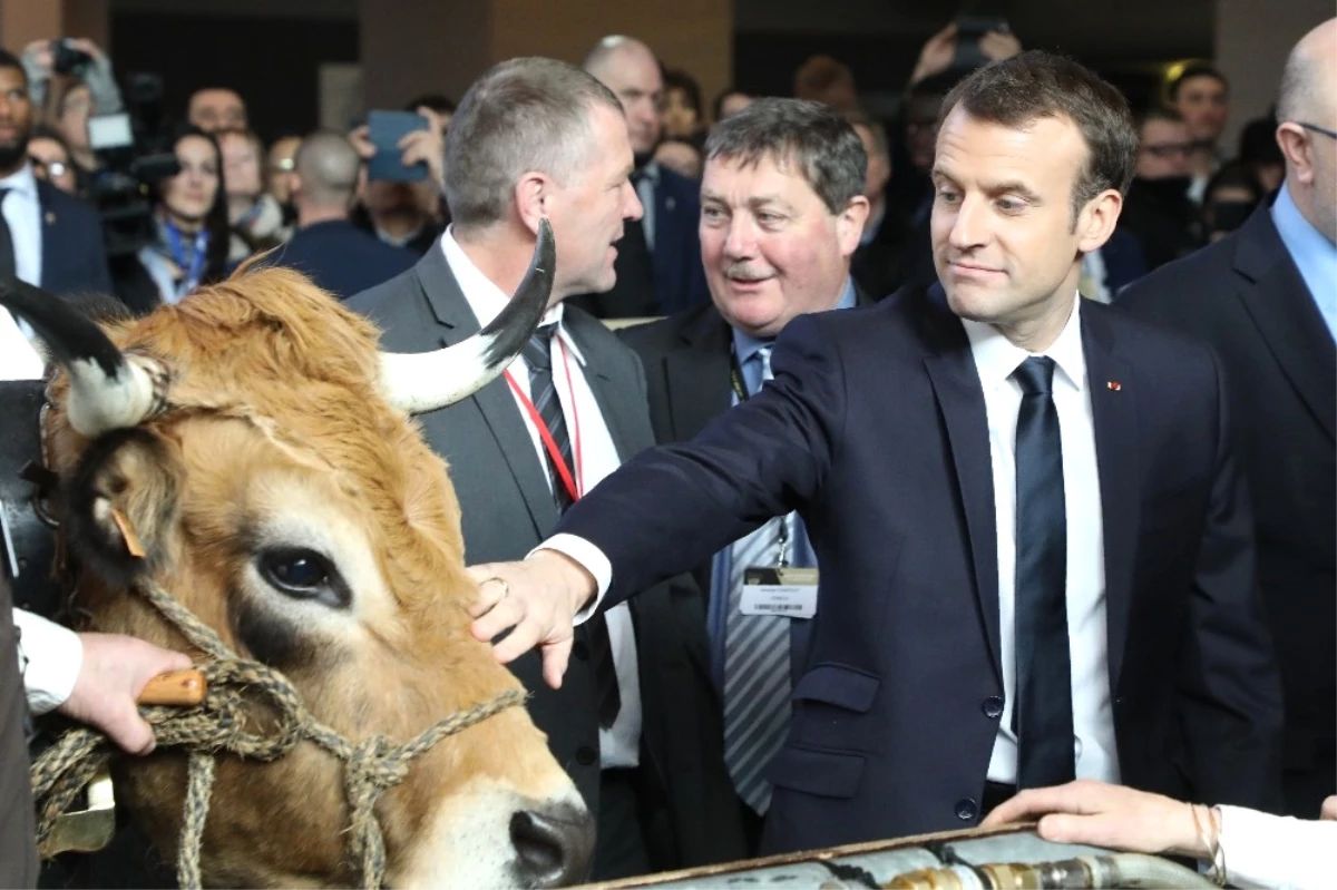 Macron\'un Tarım Fuarında İlginç Anları