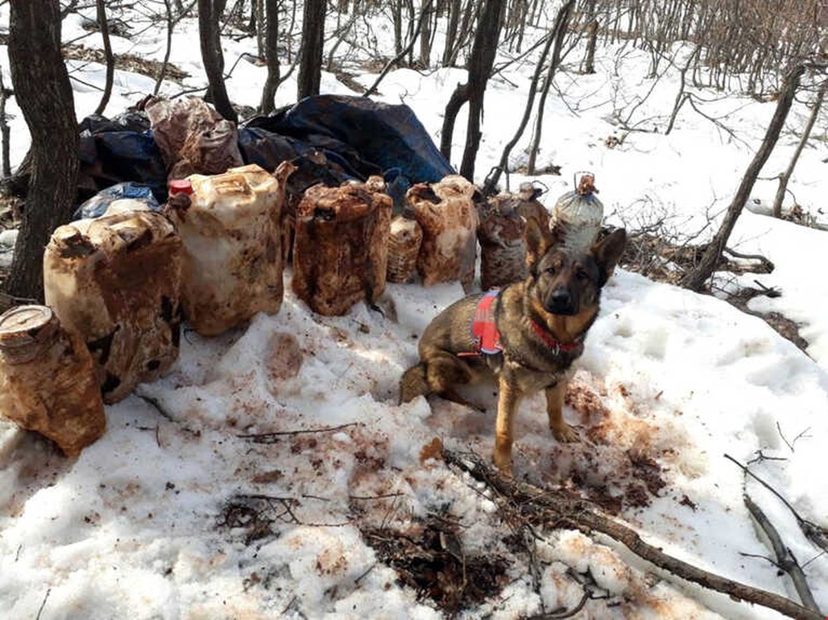 Tunceli\'de 4 Sığınak İmha Edildi, 150 Kiloluk Patlayıcı Ele Geçirildi