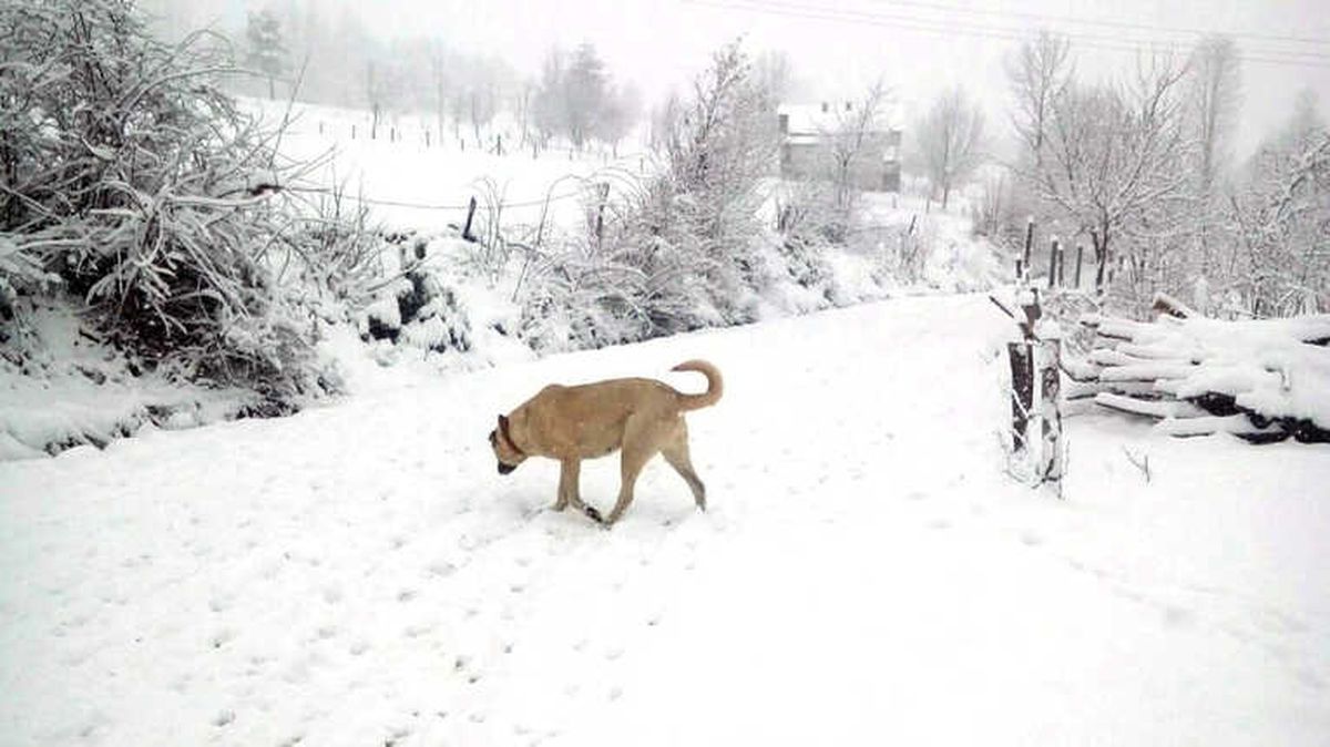 Sakarya\'da Yüksek Kesimlerde Kar Kalınlığı 7 Santimetreye Ulaştı