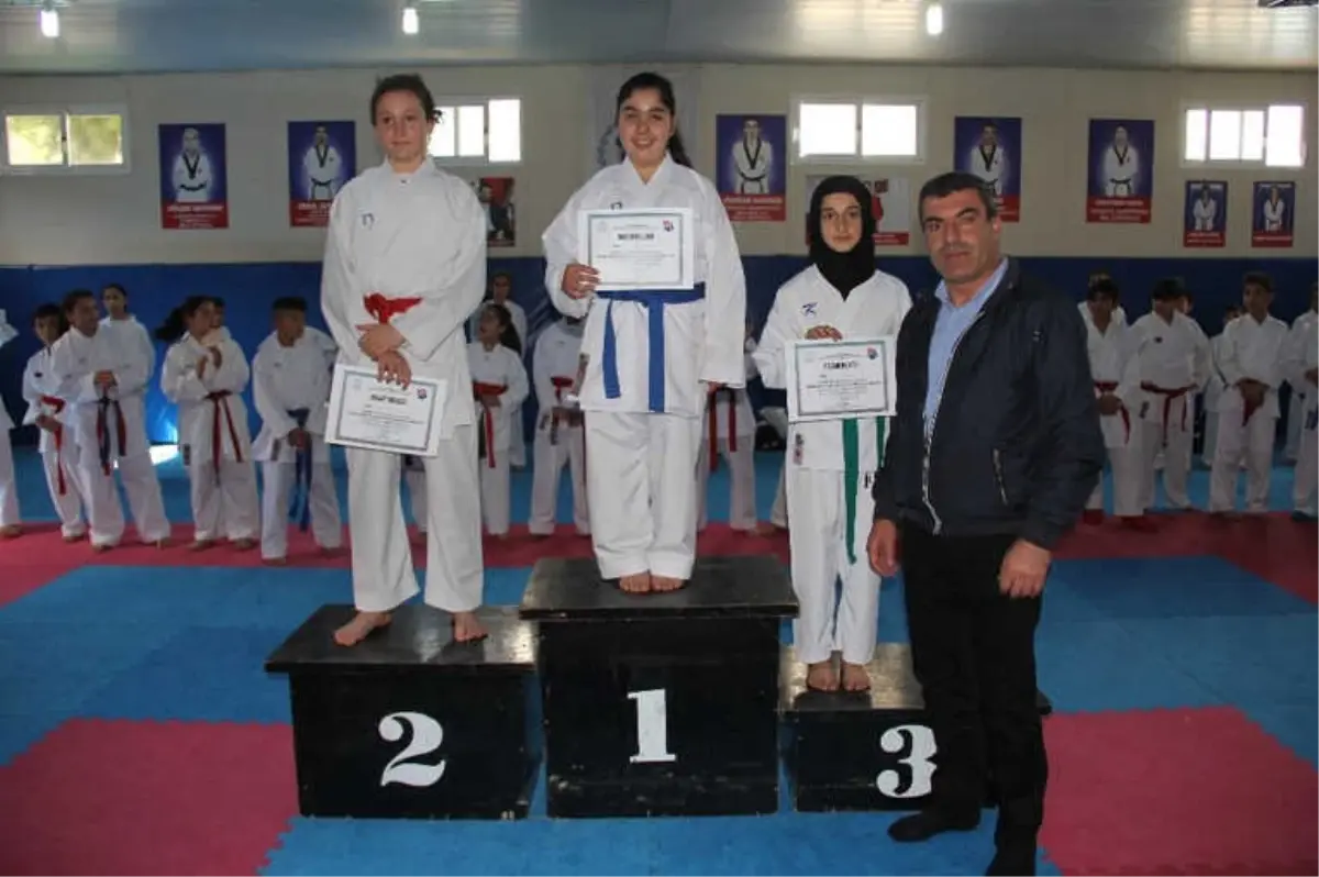 Karate Kata-kumite İl Birinciliği Müsabakaları Sona Erdi