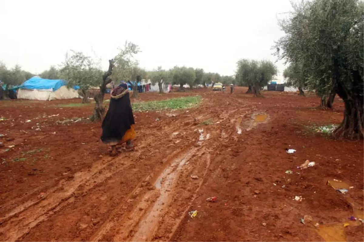 Yazı Bağı Kampı Mültecileri: "Zeytin Dalı Harekatı Zaferle Bitsin de Evlerimize Geri Dönelim"