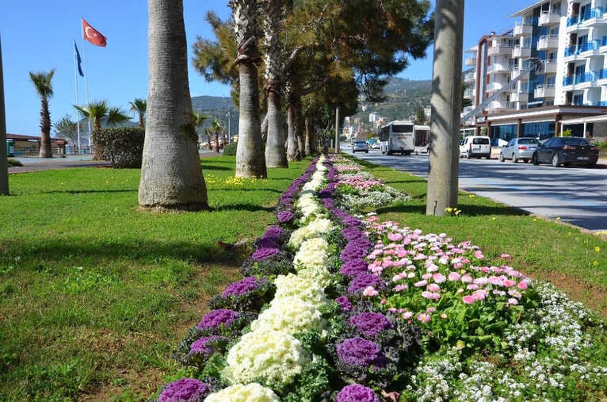 Alanya Çiçeklerle Renklendi