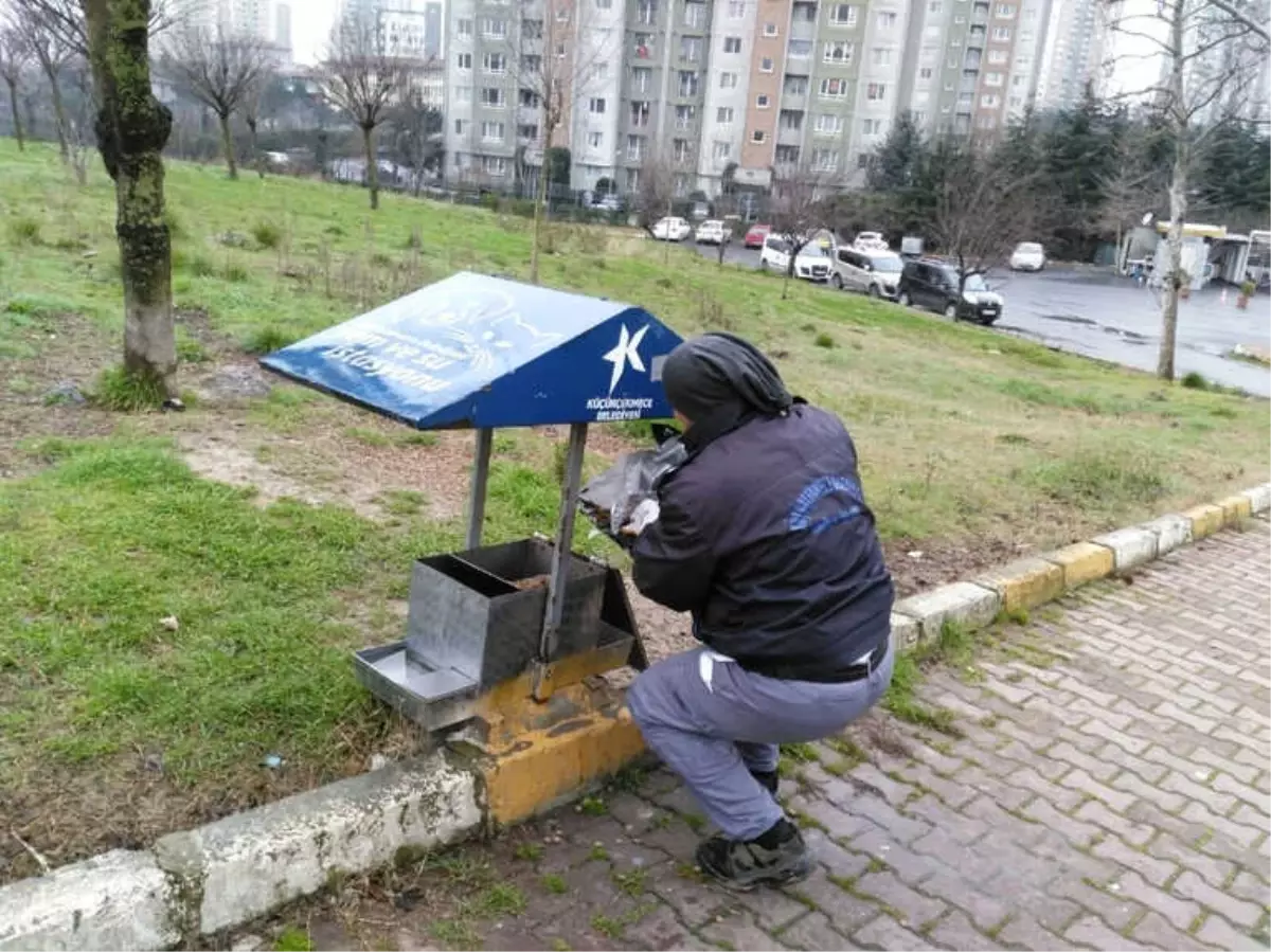 Küçükçekmece\'de Soğuk Kış Günlerinde Minik Dostlar Unutulmadı