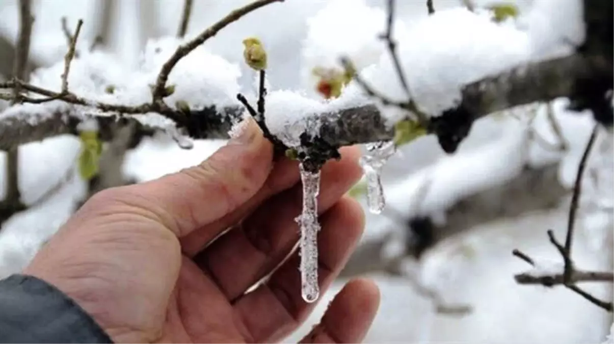 Meteorolojiden Zirai Don Uyarısı