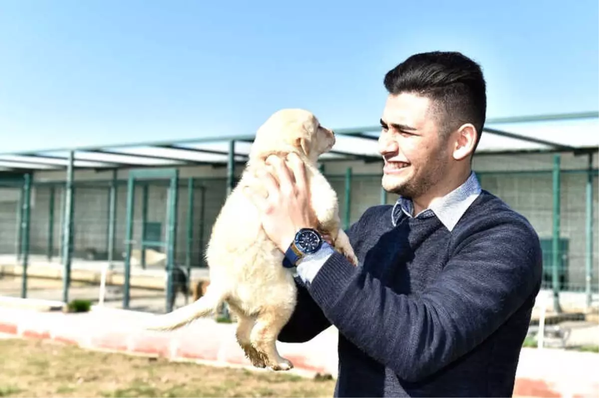 Muratpaşa\'da 541 Kedi ve Köpek Sahiplendirildi