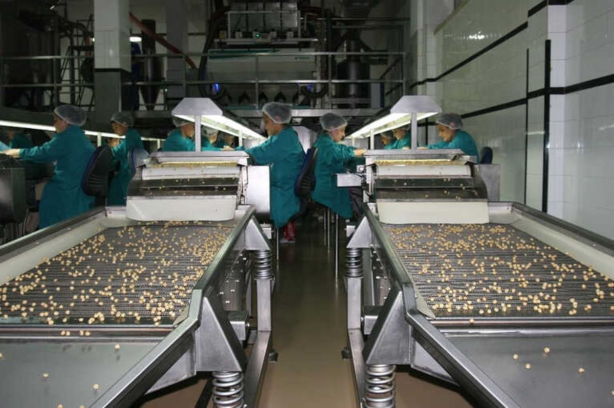 Fındık İhracatı 6 Ayda 1 Milyar Doları Geçti