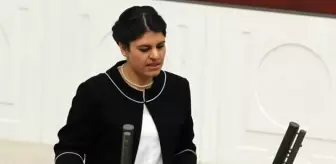 Hdp Milletvekili Öcalan'a Hapis Cezası