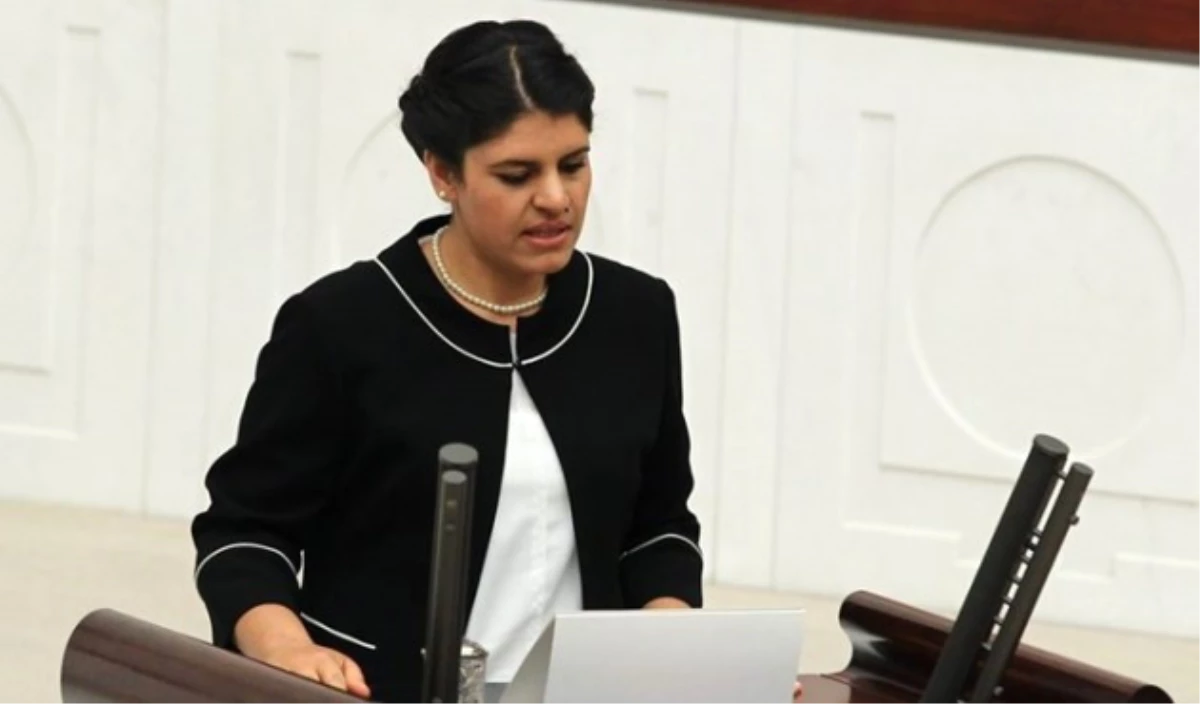 Hdp Milletvekili Öcalan\'a Hapis Cezası