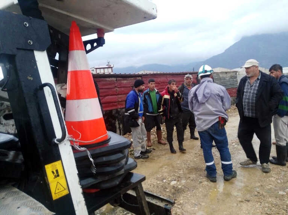 Mersin\'de Elektrik Akımına Kapılan 8 Kuzu Telef Oldu