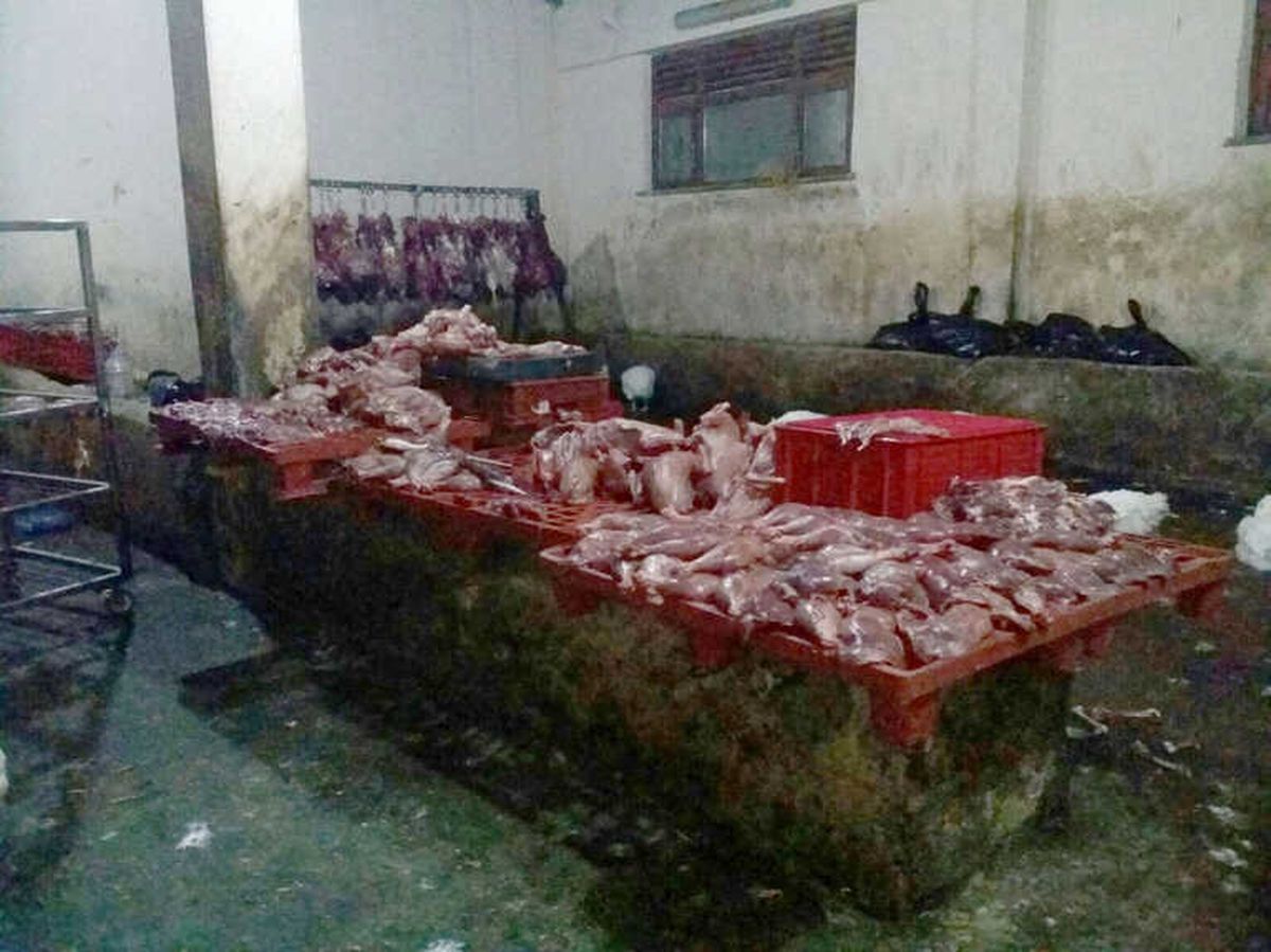 Oğuzeli\'nde Kaçak Et Operasyonu