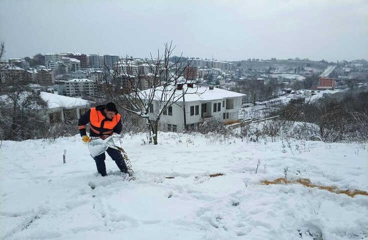 Sokak Hayvanları İçin Yiyecek Bırakıldı
