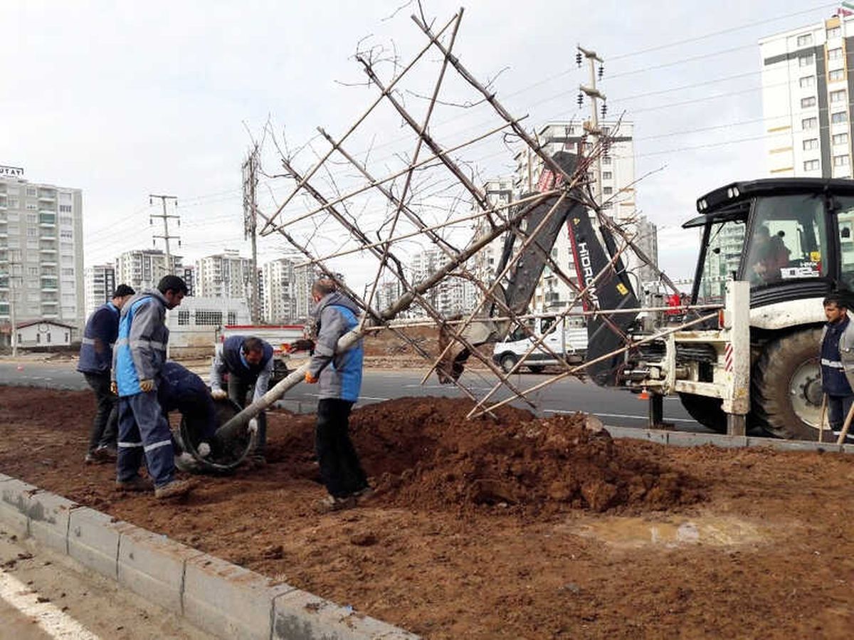 Fırat Bulvarı Daha Yeşil Olacak
