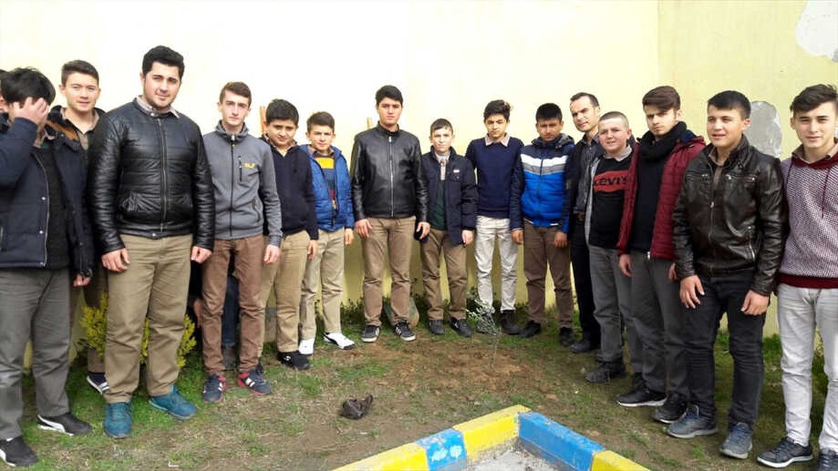 Öğrenciler Okul Bahçesine Zeytin Fidanı Dikti