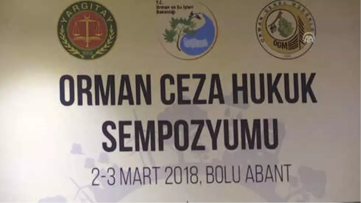 Orman Ceza Hukuku Sempozyumu - Yargıtay Başkanı Cirit