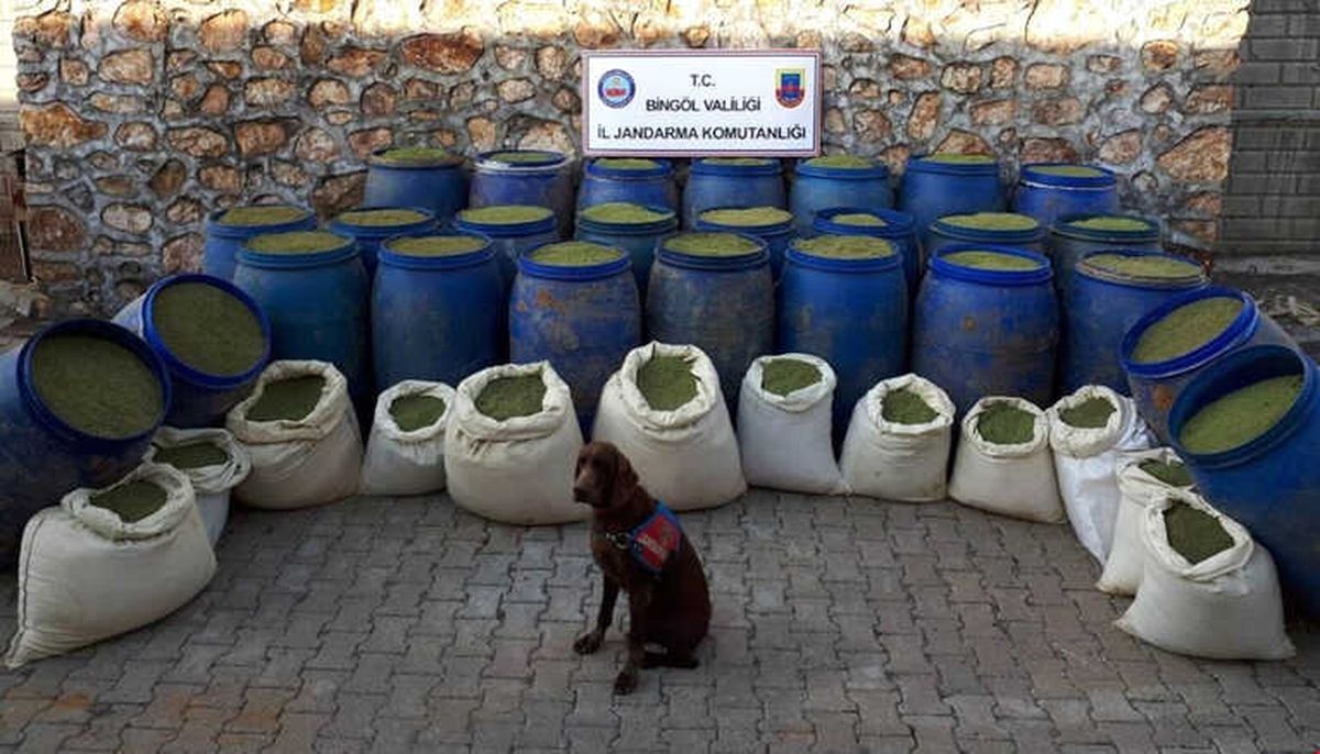 Terör Operasyonunda 1 Ton 240 Kilo Esrar Ele Geçirildi